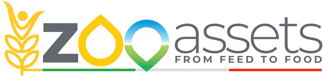 logo ZOOASSETS bg